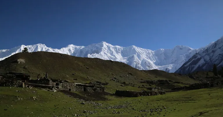 Gargo Meadows in Bagrote Valley below Diran, Gilgit-Baltistan