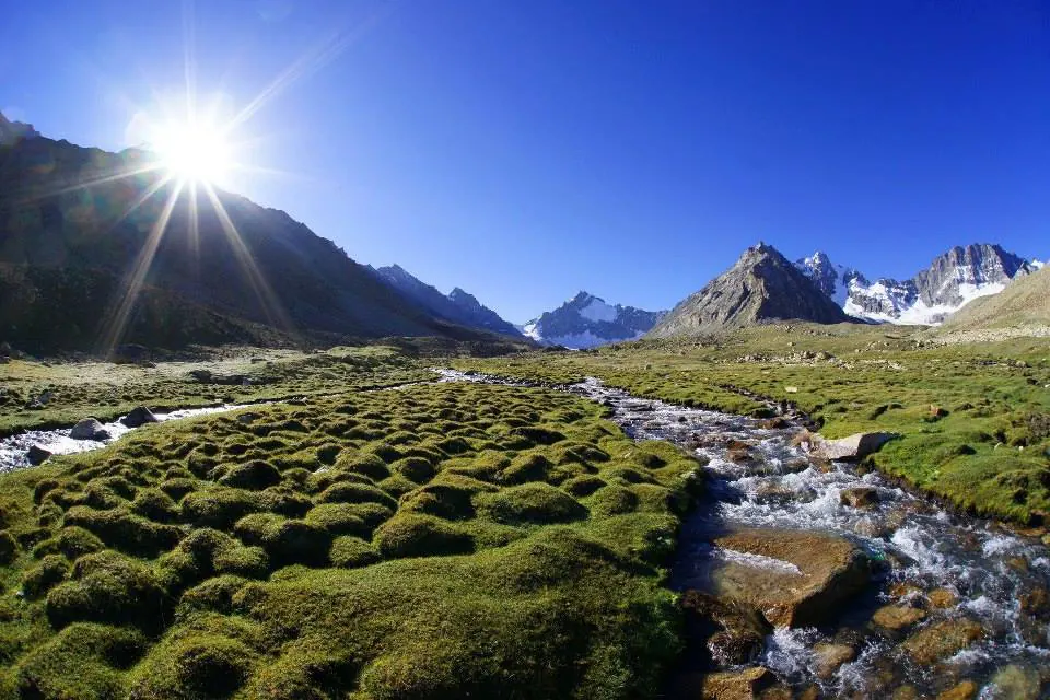 Grüne Hochweide und klarer Bergbach bei Barah Broq unter verschneiten Gipfeln, Distrikt Ghanche, Gilgit-Baltistan, Pakistan