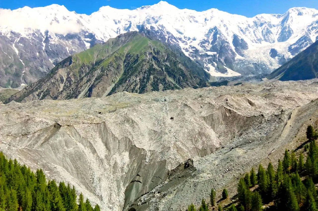 The Barche glacier and Diran peak above the summer meadows of upper Bagrote Valley near Hopay village, Gilgit-Baltistan, Pakistan