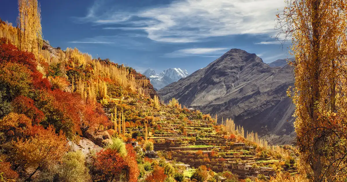 Terraced fields below Altit in Hunza blazing orange and red in late October, with golden poplars and Karakoram peaks under a blue sky