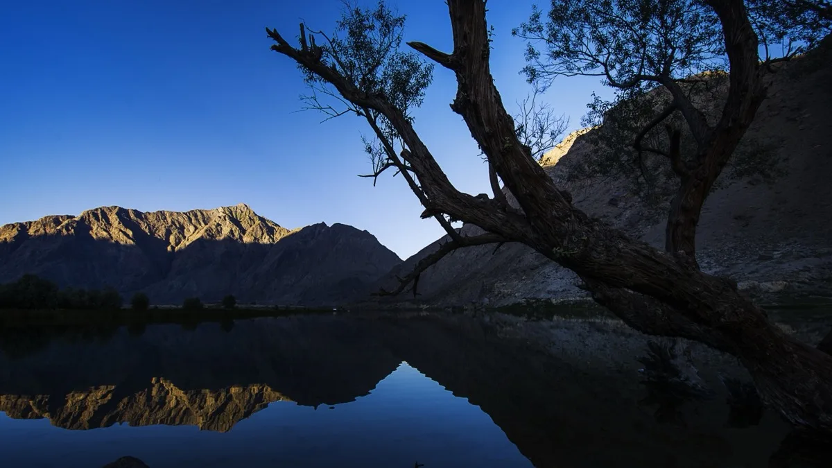 Bare willow tree silhouetted against Blind Lake Skardu at dusk, with sunlit peaks mirrored in the calm water, Shigar valley, Pakistan
