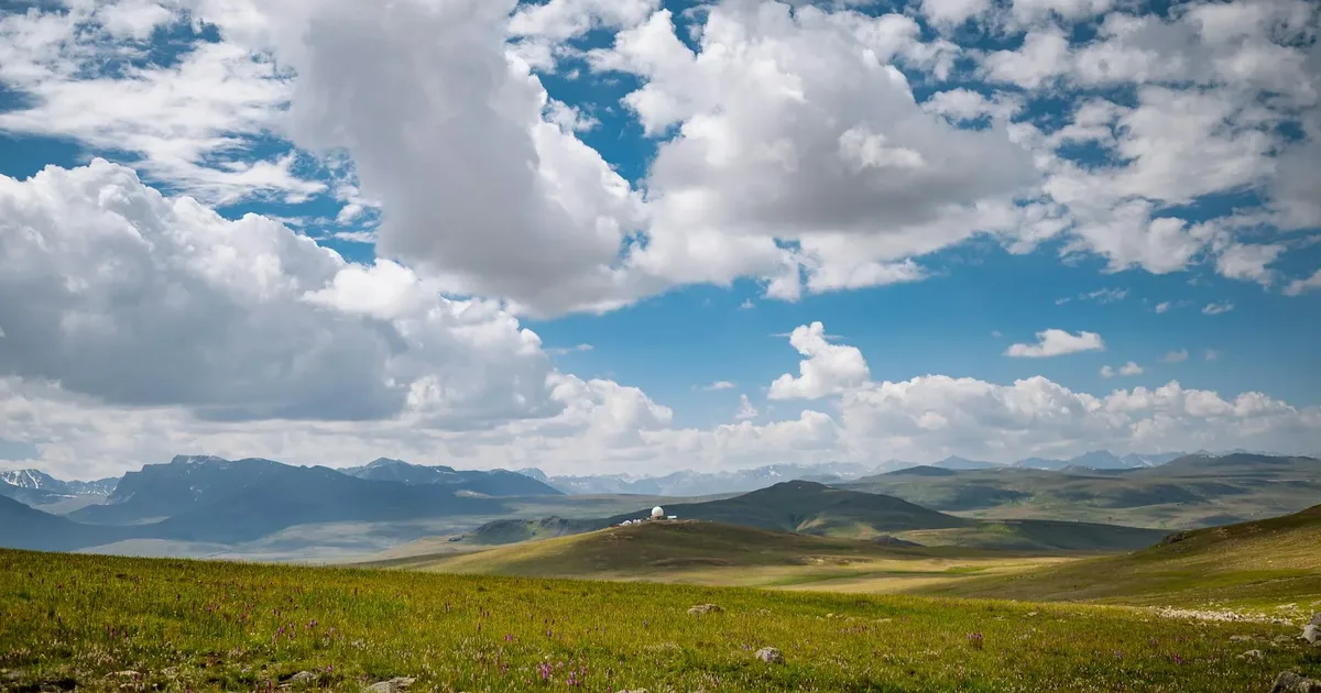 Dataran Deosai pada musim panas, dataran tinggi alpin hijau yang luas berselerak dengan bunga liar di bawah puncak salji yang jauh di Gilgit-Baltistan, Pakistan