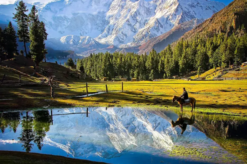 Nanga Parbat rising above the green alpine meadow of Fairy Meadows, northern Pakistan