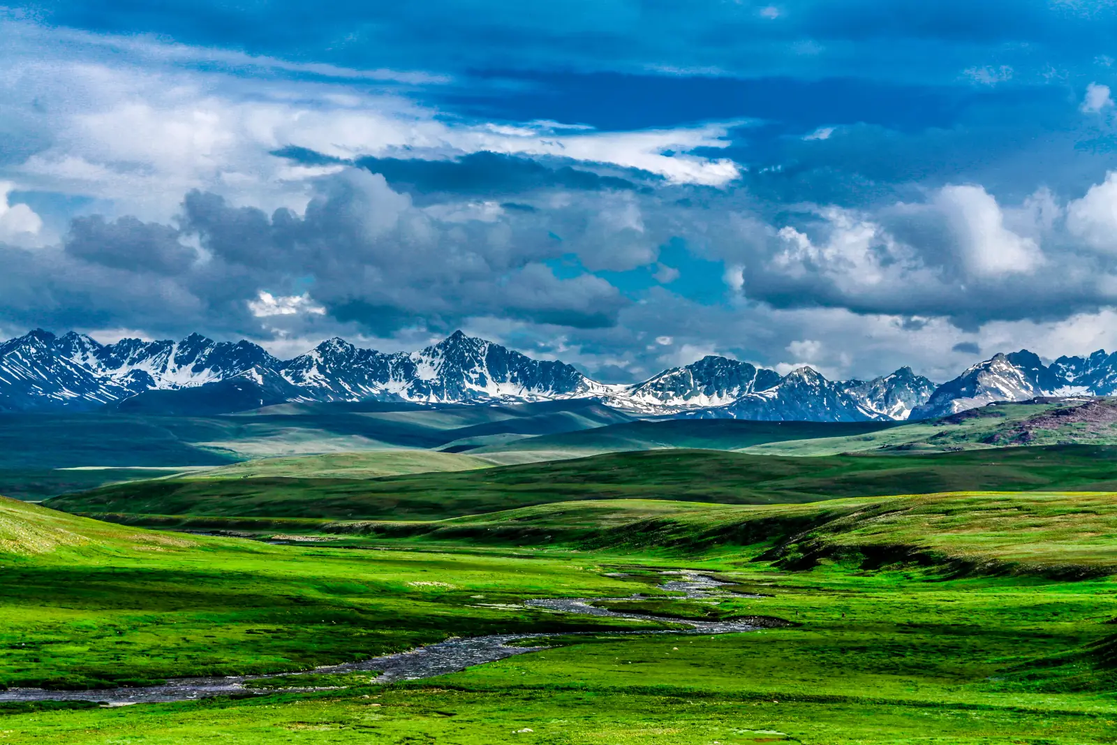 Le verdi pianure del plateau del Deosai in estate, con un ruscello sinuoso e cime innevate del Karakorum, Gilgit-Baltistan, Pakistan