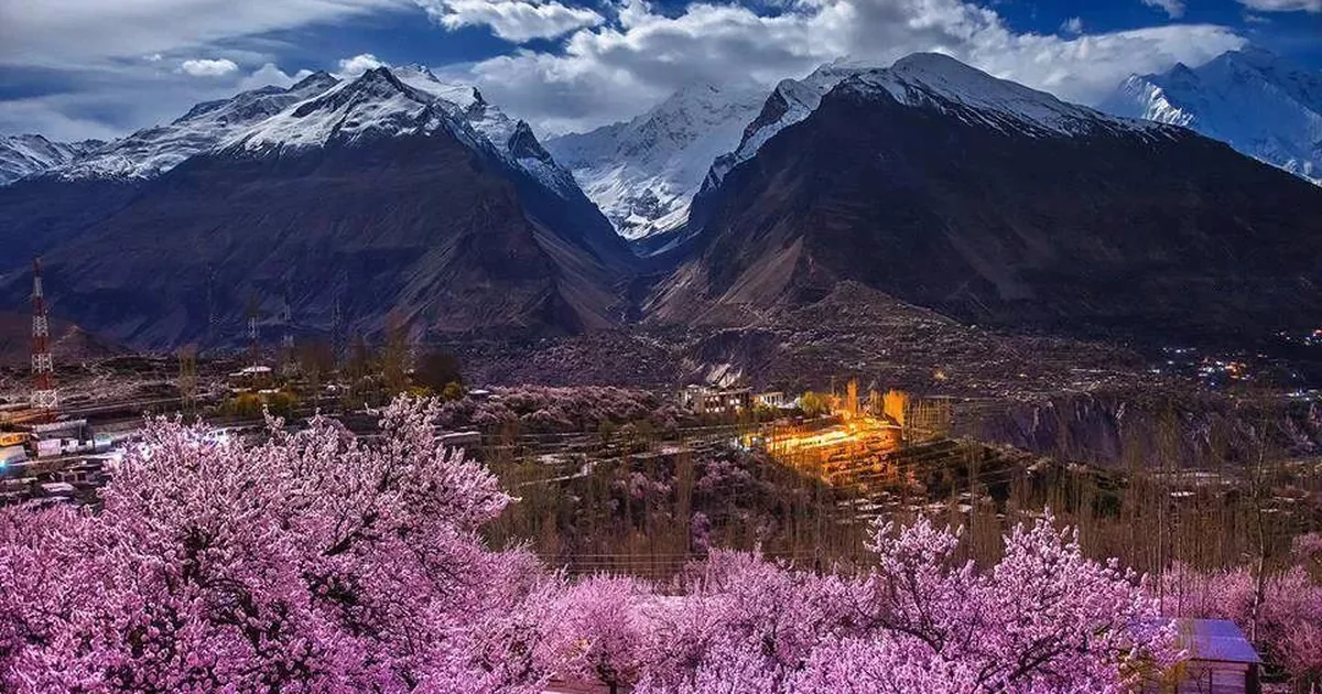 Pink cherry and apricot blossom orchards beside a turquoise river and mountain road in Gilgit-Baltistan during spring