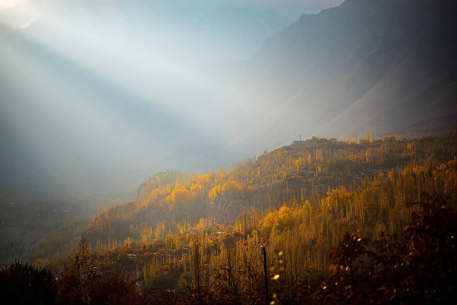 Morning sun rays breaking over golden autumn poplar forests in the Hunza valley, Gilgit-Baltistan, Pakistan