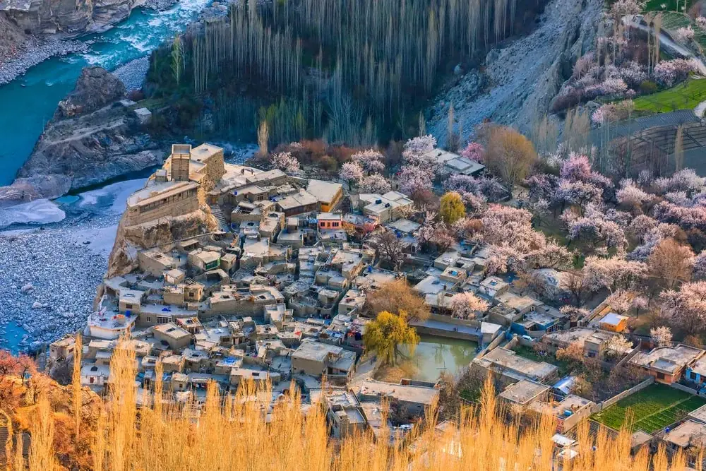 Aerial view of a Hunza village above the river with apricot blossom orchards in spring, Gilgit-Baltistan