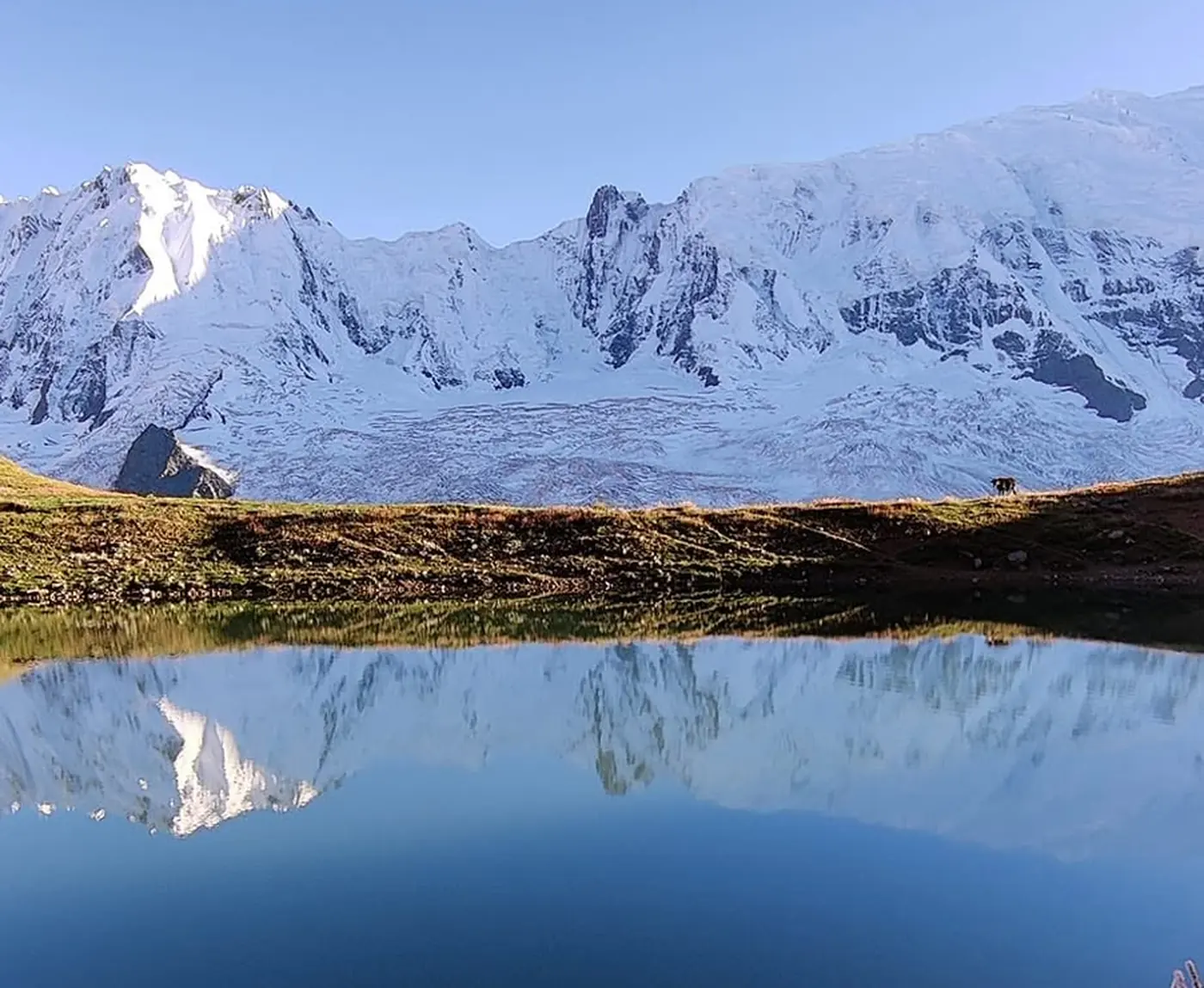 Kacheli Lake at 3,970 m mirroring the snow face above it at first light, Nagar Valley, Gilgit-Baltistan