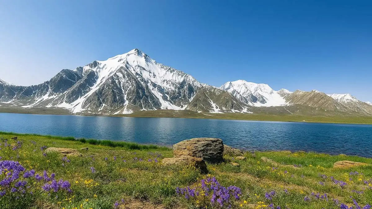 Karambar Lake in summer with purple and yellow alpine wildflowers on the shoreline and snow peaks behind, Broghil, Pakistan