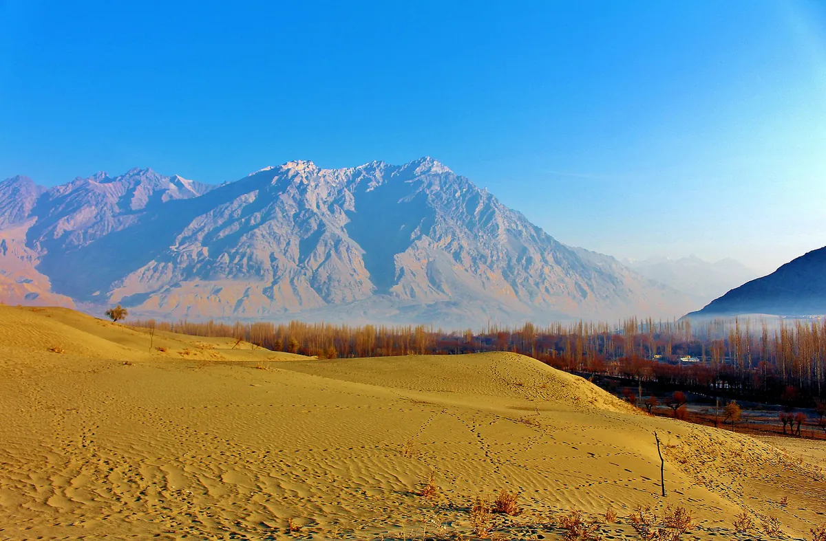 Golden sand dunes of the Katpana cold desert near Skardu airport, with autumn poplars and a sunlit mountain behind