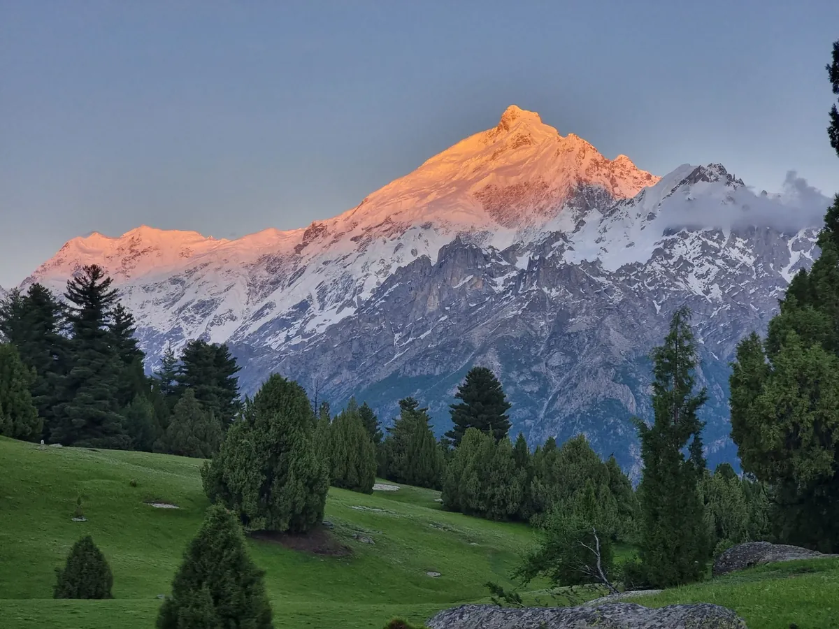 Snow peak lit orange at sunset above a green meadow with pine and juniper trees, Khaltaro Valley, Haramosh, Gilgit-Baltistan, Pakistan