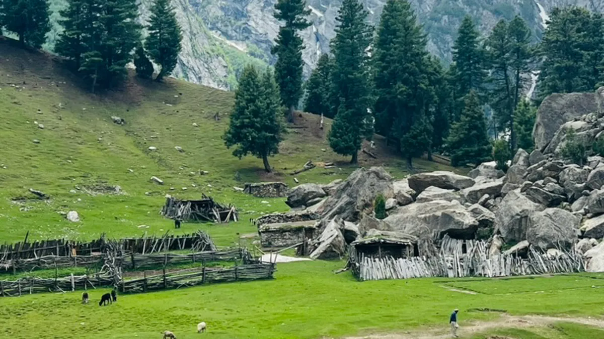 The summer settlement at Kutwal in the Haramosh Valley: timber stock pens, low stone shelters and grazing animals below a serrated snow ridge