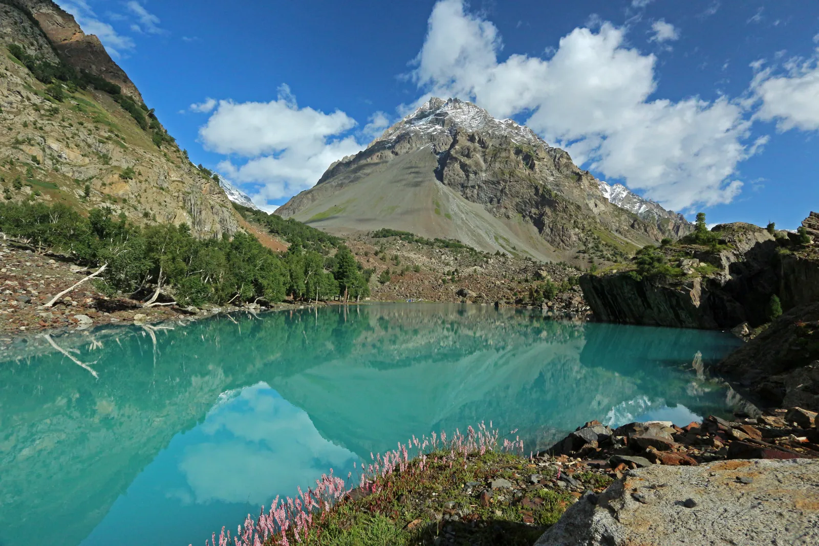 Naltar Blue Lake reflecting a pyramid-shaped peak, with pink wildflowers on the shore, Naltar Valley