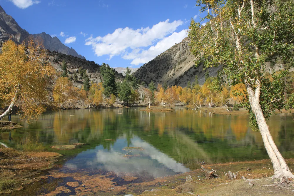 A Naltar lake reflecting autumn larches and snow peaks near Gilgit, Pakistan