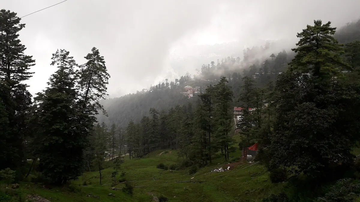 Nebel zieht durch hohen Kiefern- und Tannenwald über den grünen Hängen und Häuschen von Nathia Gali, Galiyat, Khyber Pakhtunkhwa, Pakistan