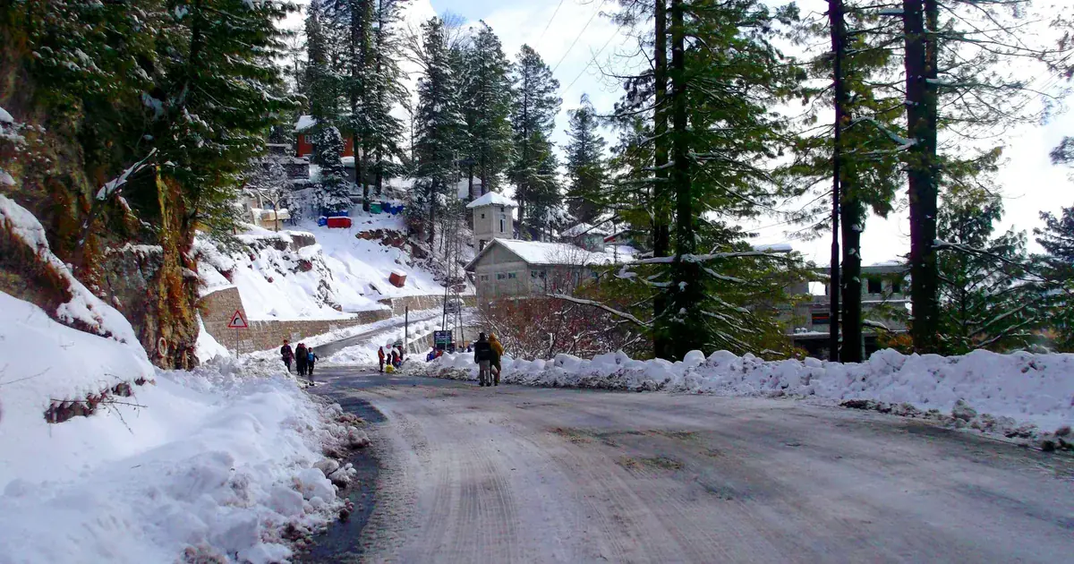 Snow-covered road and pine forest at Nathia Gali hill station, Pakistan, in winter