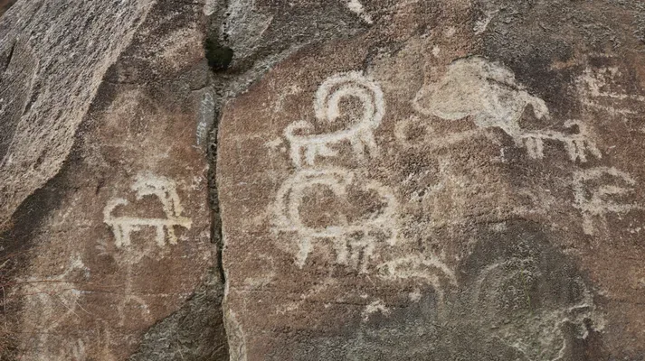 Antichi petroglifi di stambecchi incisi nelle Rocce Sacre di Hunza (Haldeikish), lasciati dai viaggiatori della Via della Seta