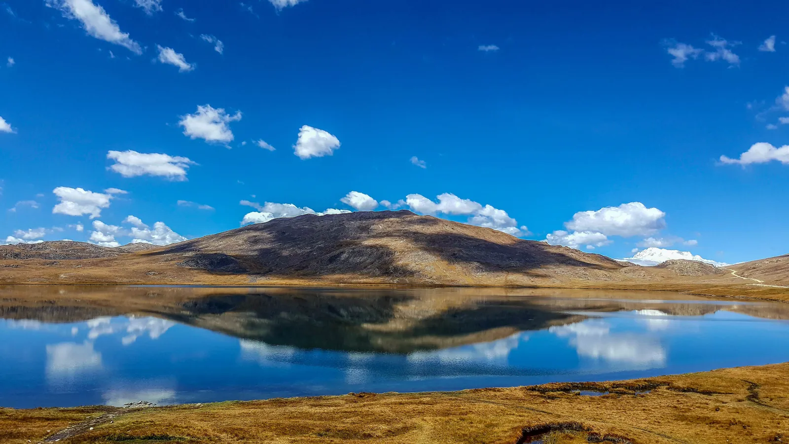 Sheosar Lake on the Deosai Plains mirroring a brown hill and white clouds, with golden grass on the shore