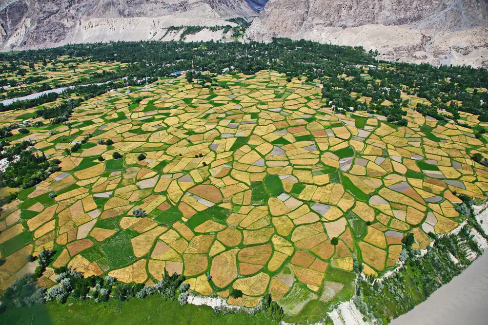Veduta aerea del mosaico dorato dei campi di grano della valle di Shigar, vicino a Skardu, Gilgit-Baltistan, Pakistan