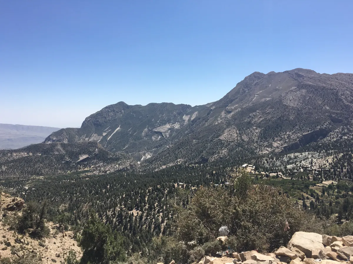 Juniper forest on the mountain slopes of Ziarat valley, Balochistan, Pakistan