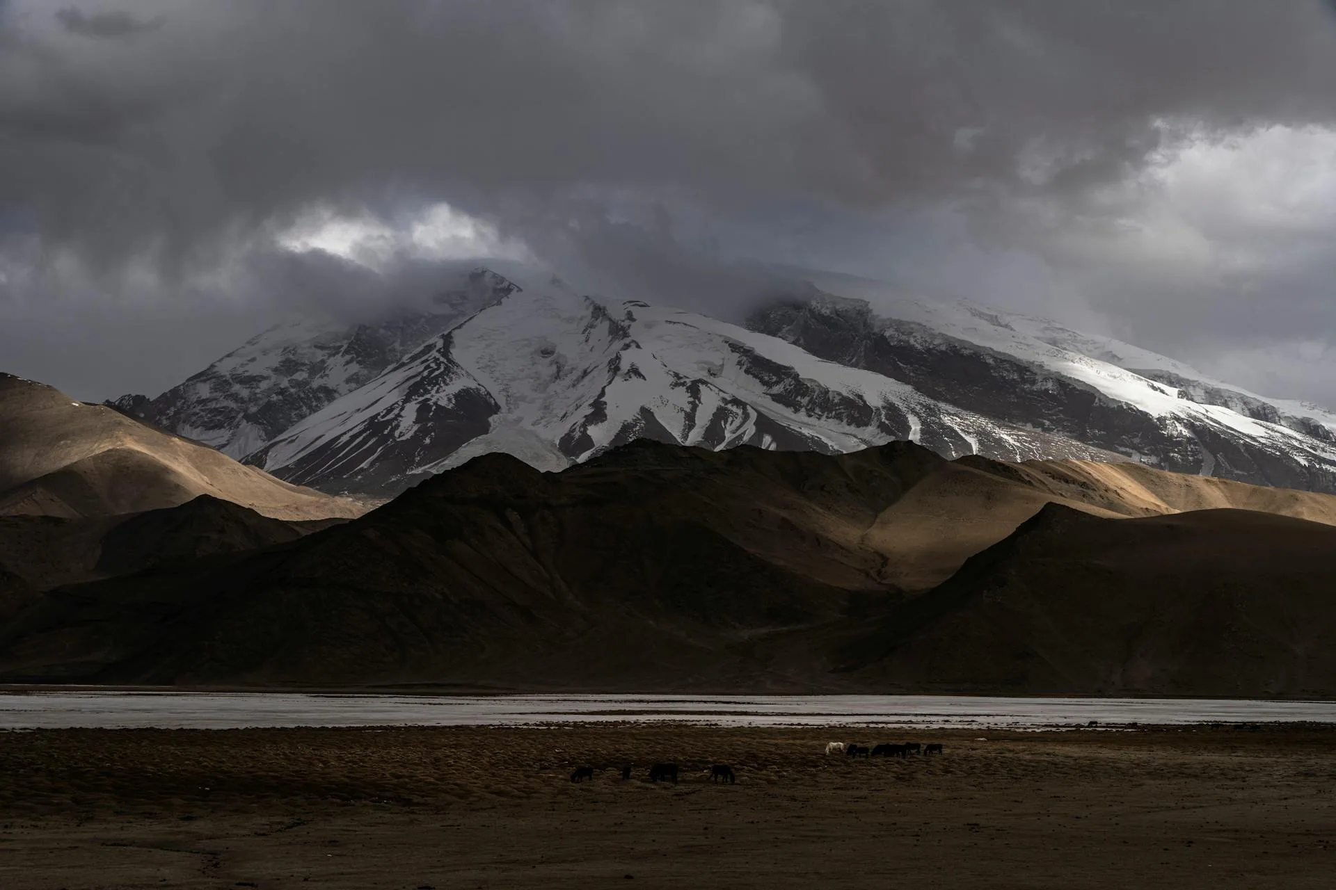 Muztagh Ata peak under dramatic storm clouds with horses grazing