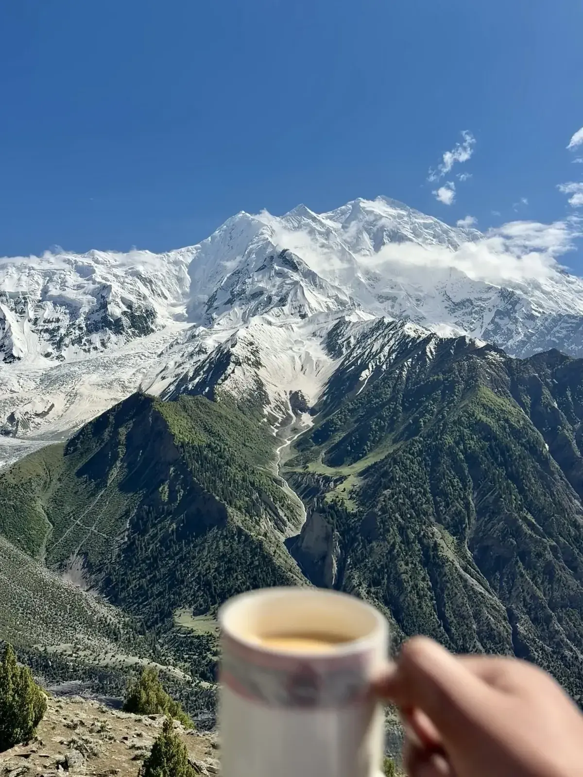 Eine Tasse Chai vor dem schneebedeckten Nanga-Parbat-Massiv, gesehen von den Fairy Meadows, Gilgit-Baltistan, Pakistan