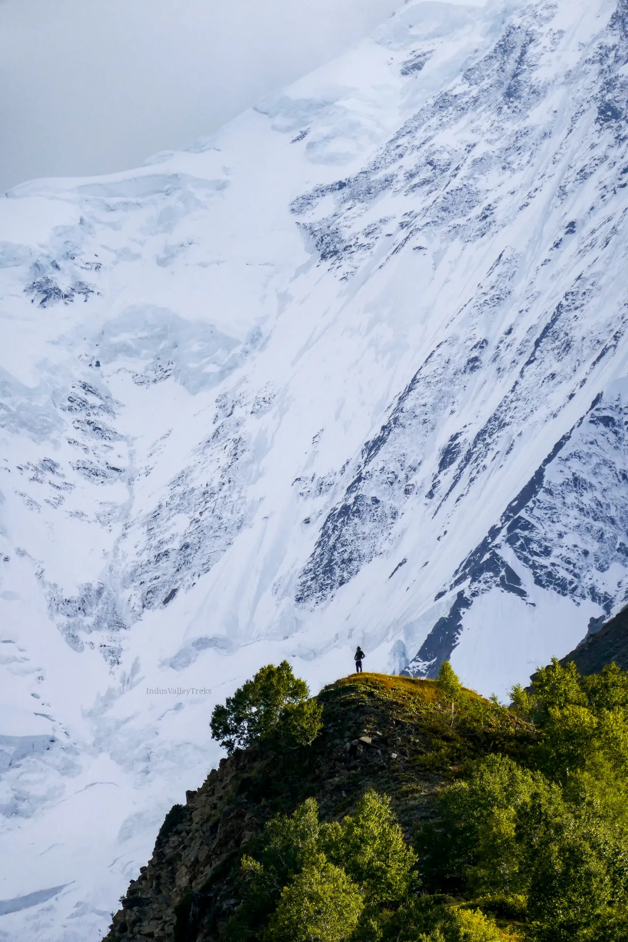 Lone trekker dwarfed by the vast snow wall of Rakaposhi (7,788m)