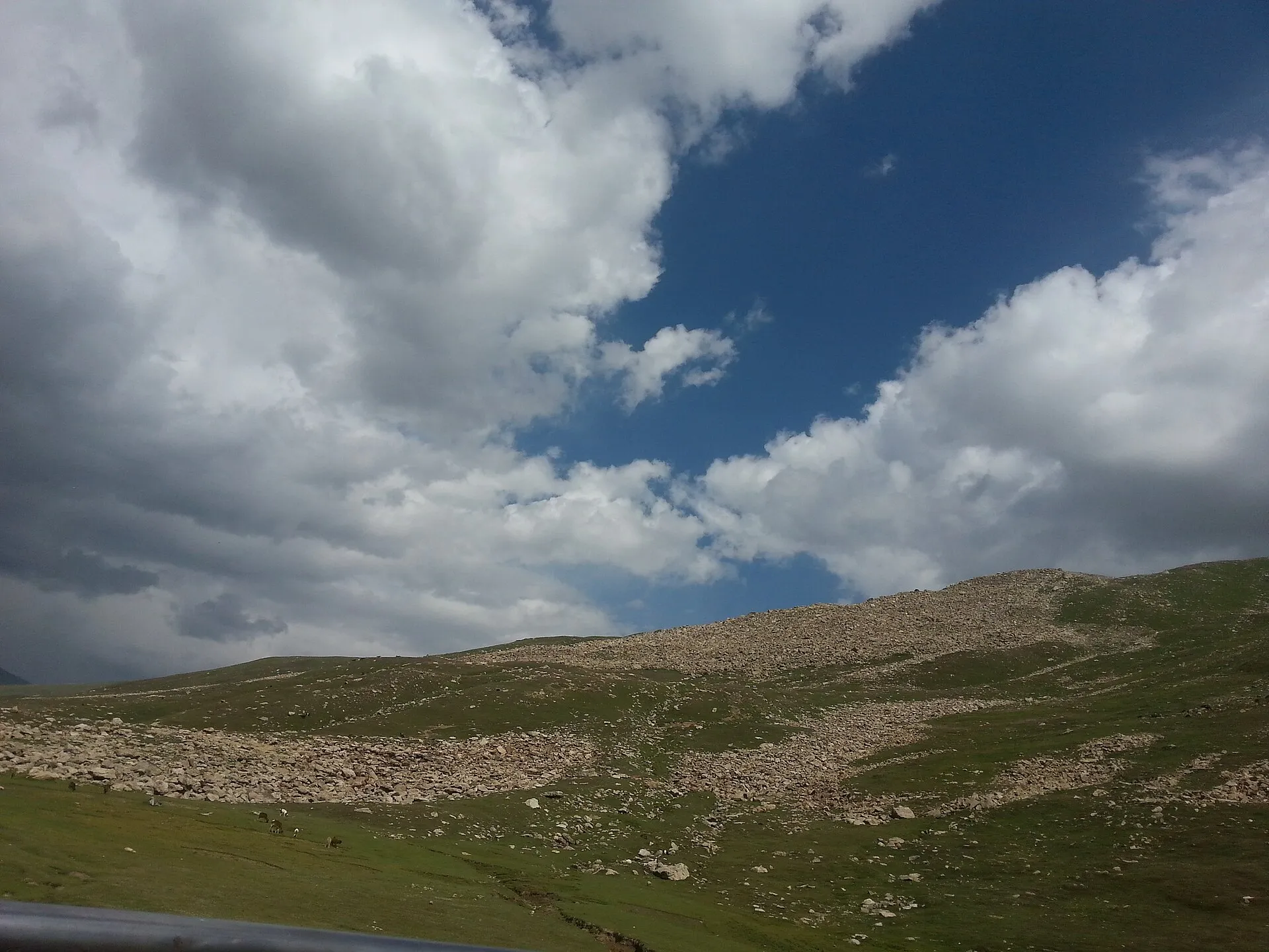 The green alpine meadows of Babusar Pass on the Naran-Chilas road