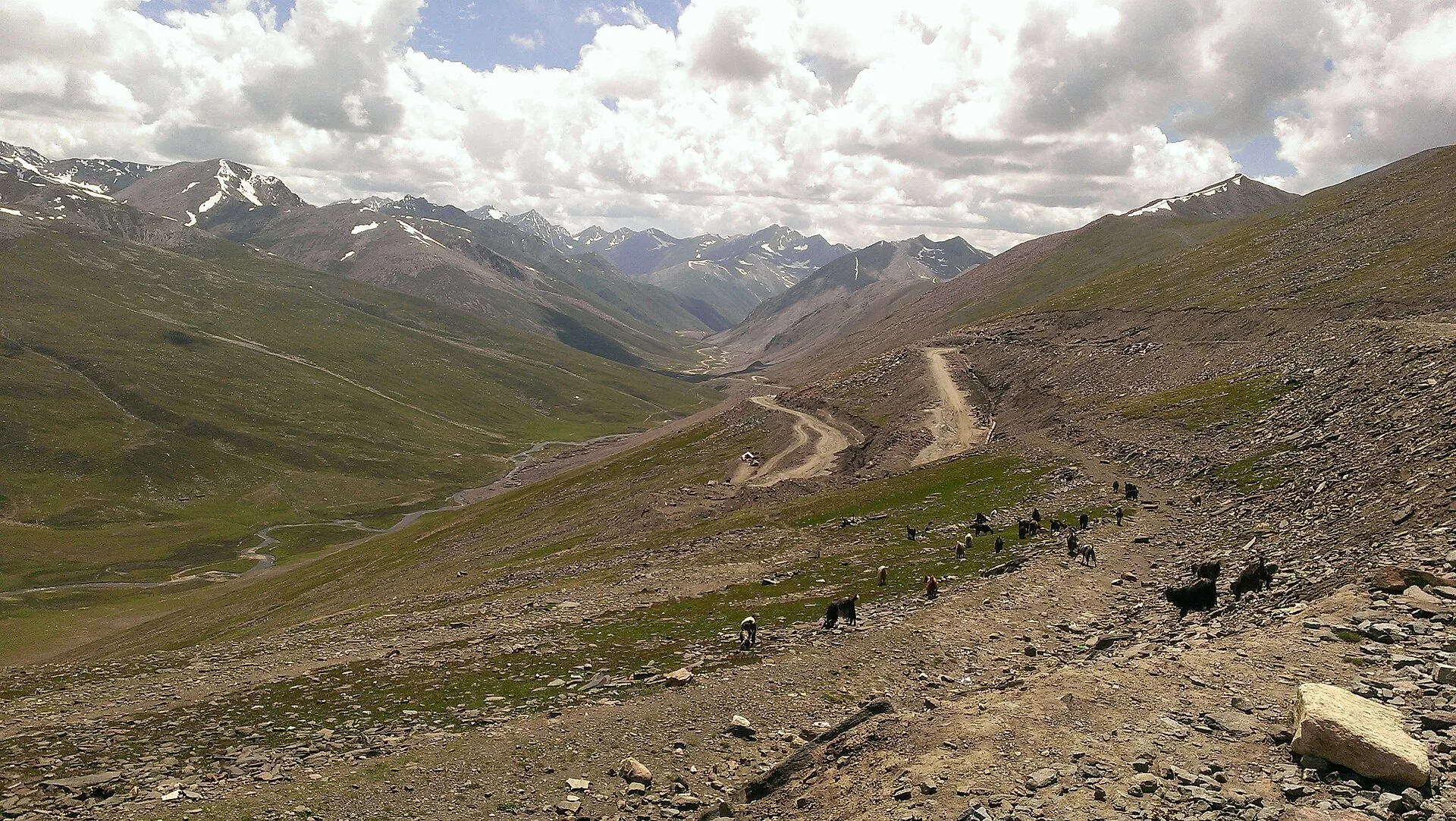 A track crossing the green meadows near Babusar Pass