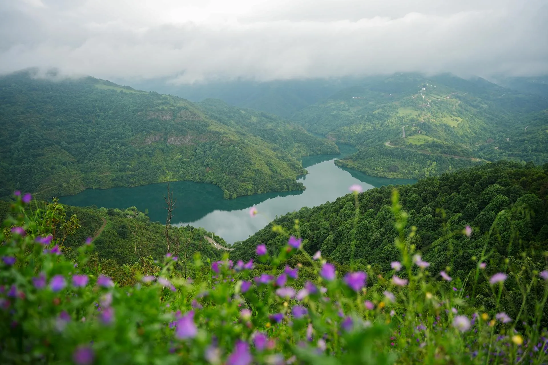 Alpine lake and wildflowers below Babusar Pass on the Kaghan Valley road trip, Pakistan