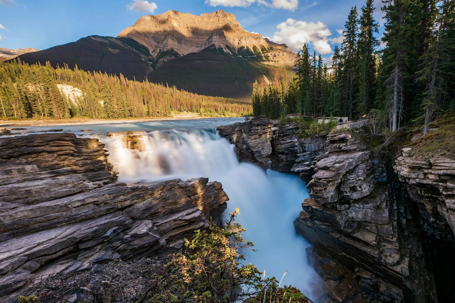 Pine waterfalls mountain