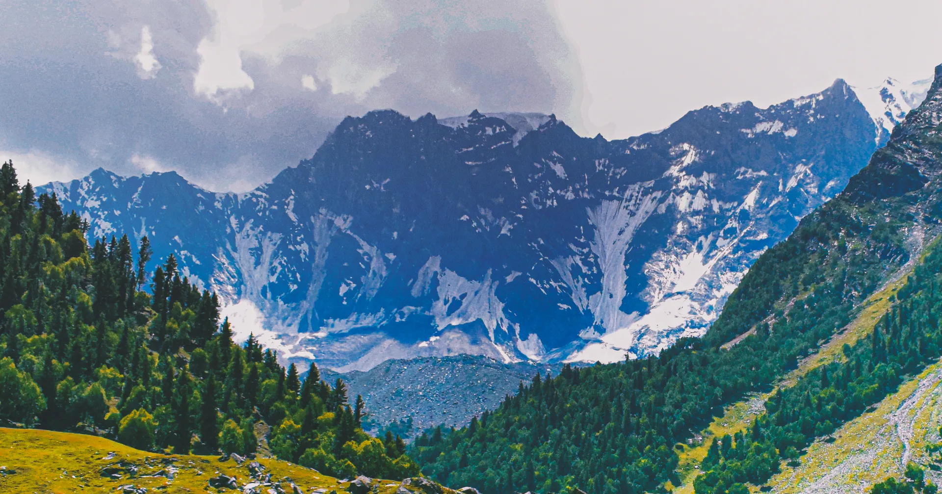 Summer wildflowers on Gargo Meadows in Bagrote Valley with Karakoram peaks behind, near Gilgit