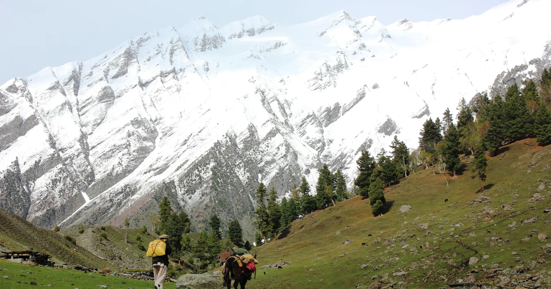 Trekkers with a pack horse crossing the upper pastures of Bagrote Valley below the snow peaks