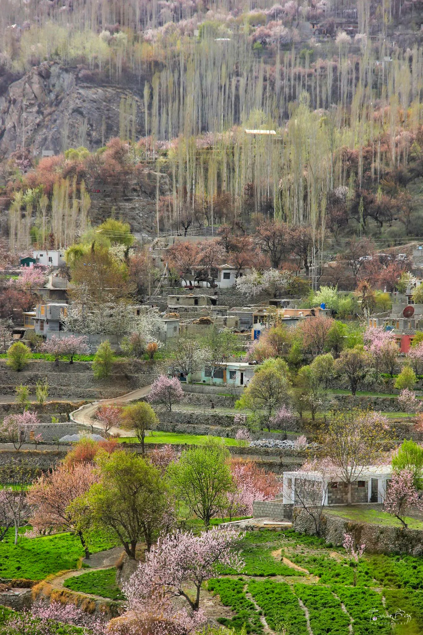 The historic terraced village of Ganish in the Hunza Valley