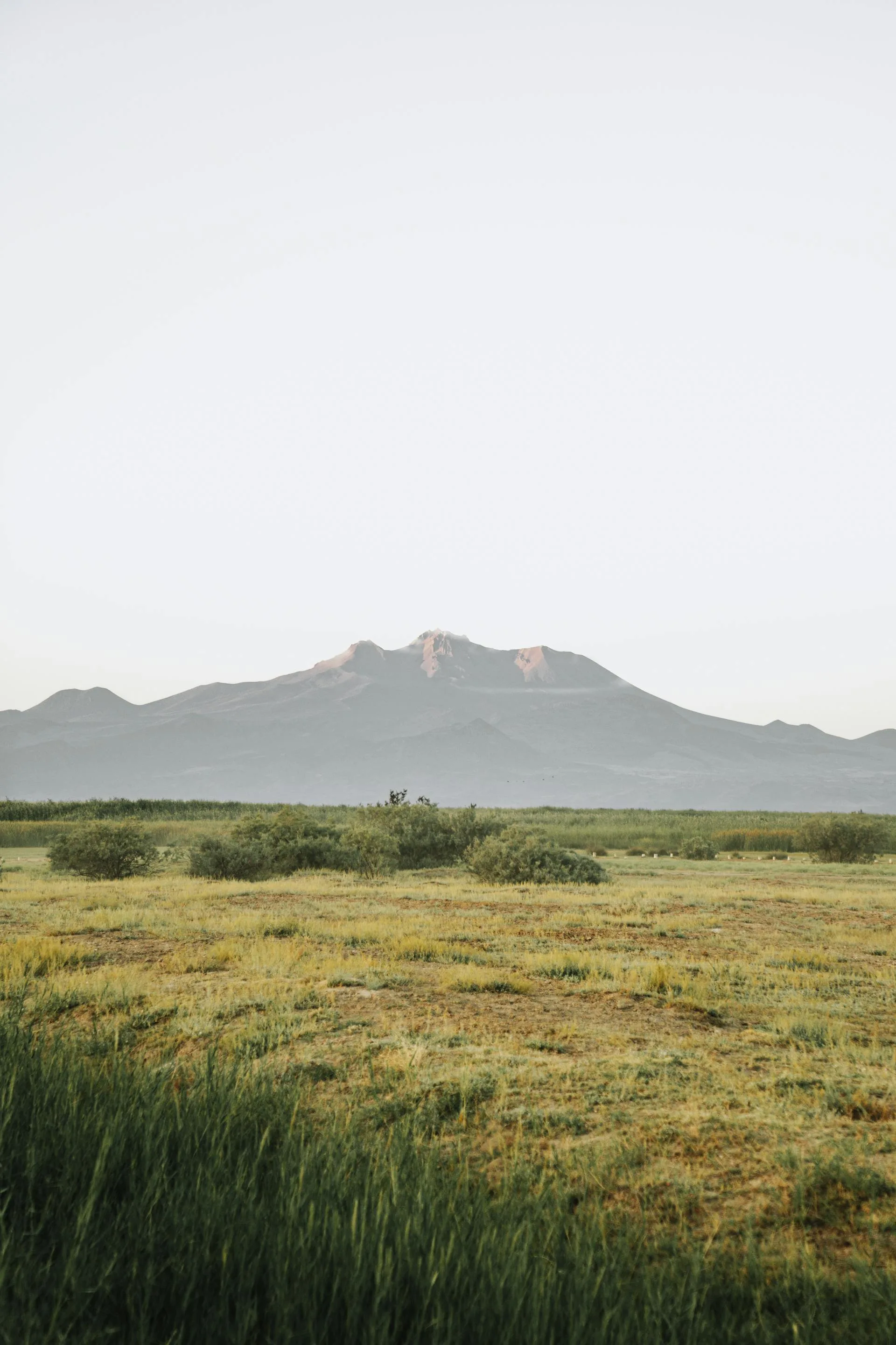 Sunset light over the Deosai grassland