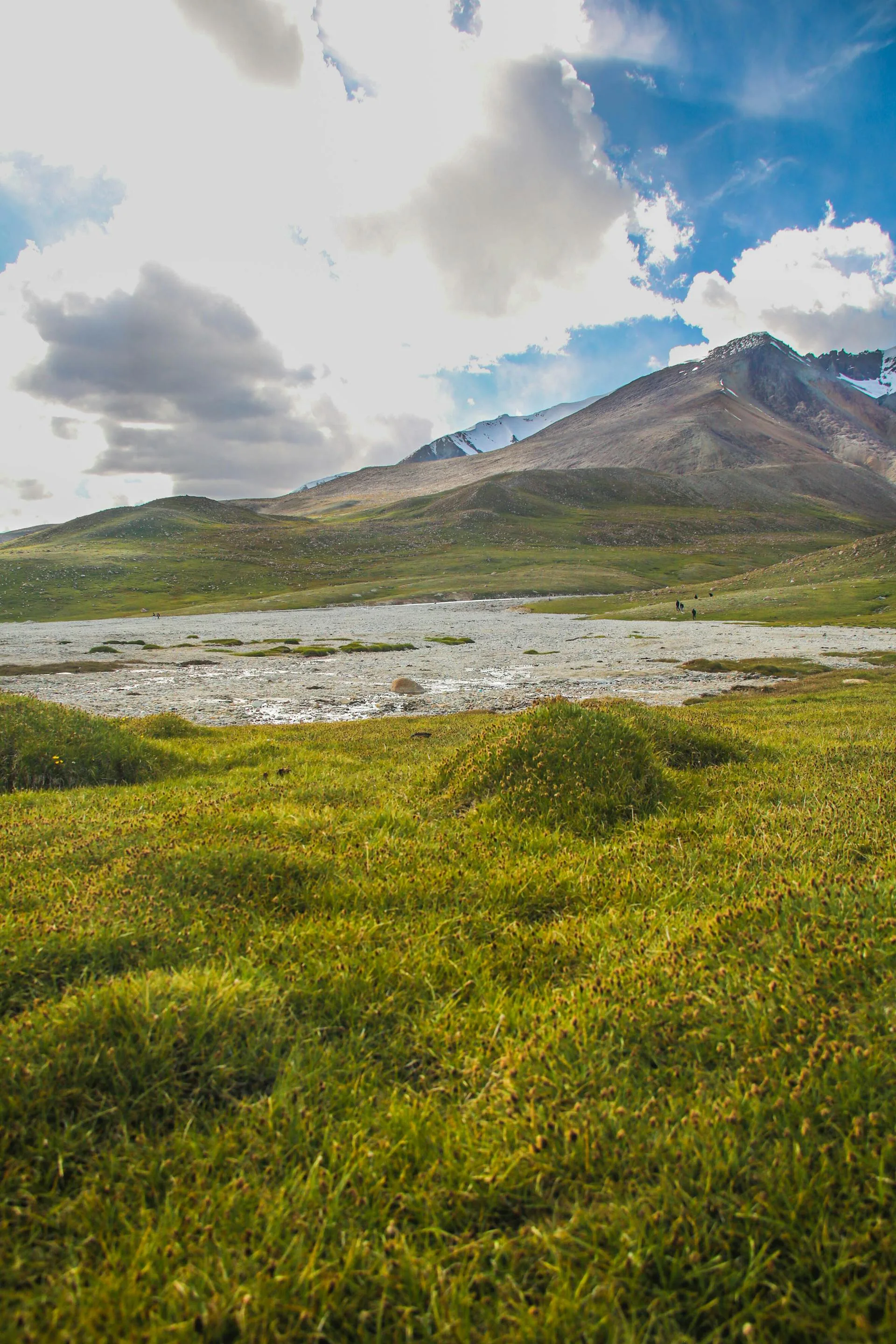 The green Deosai plateau with a glacial stream and snow-streaked peak