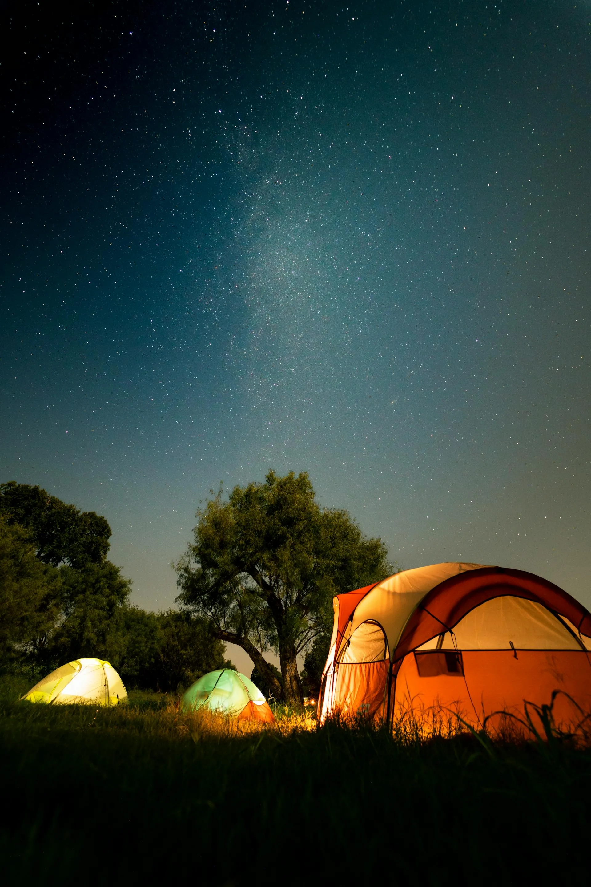 Camping tents under brilliant starry sky