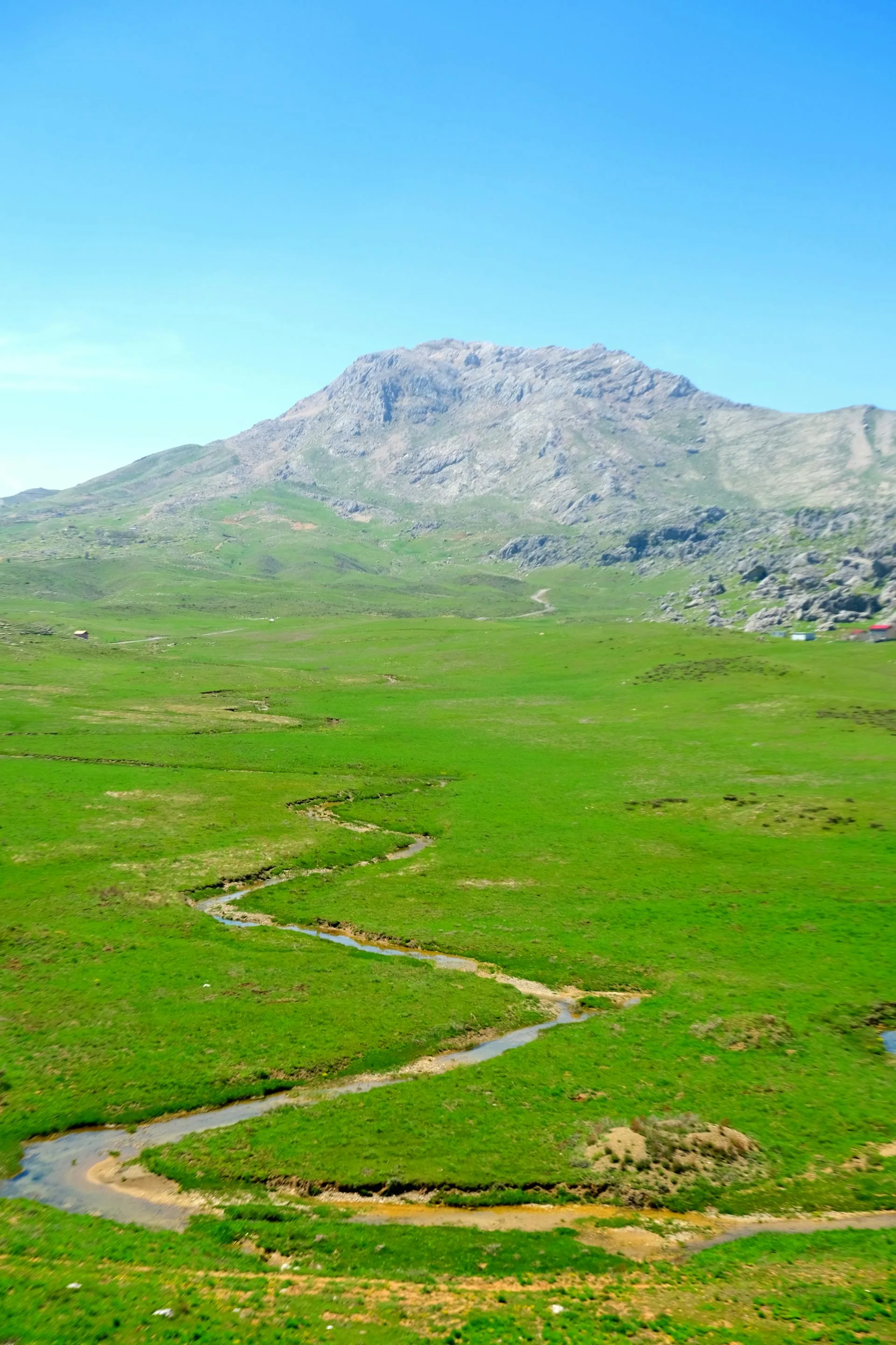 A vast plain field stretching toward a distant mountain peak