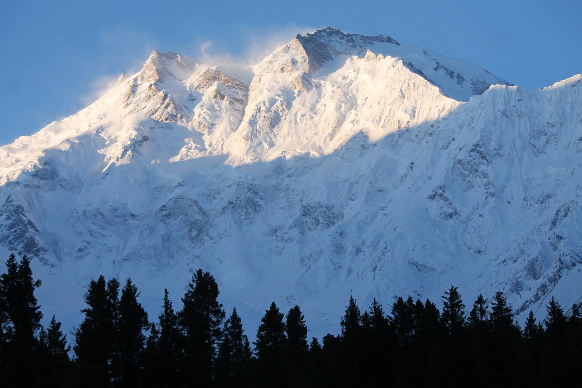 The Rakhiot face of Nanga Parbat rising above the Fairy Meadows pine forest