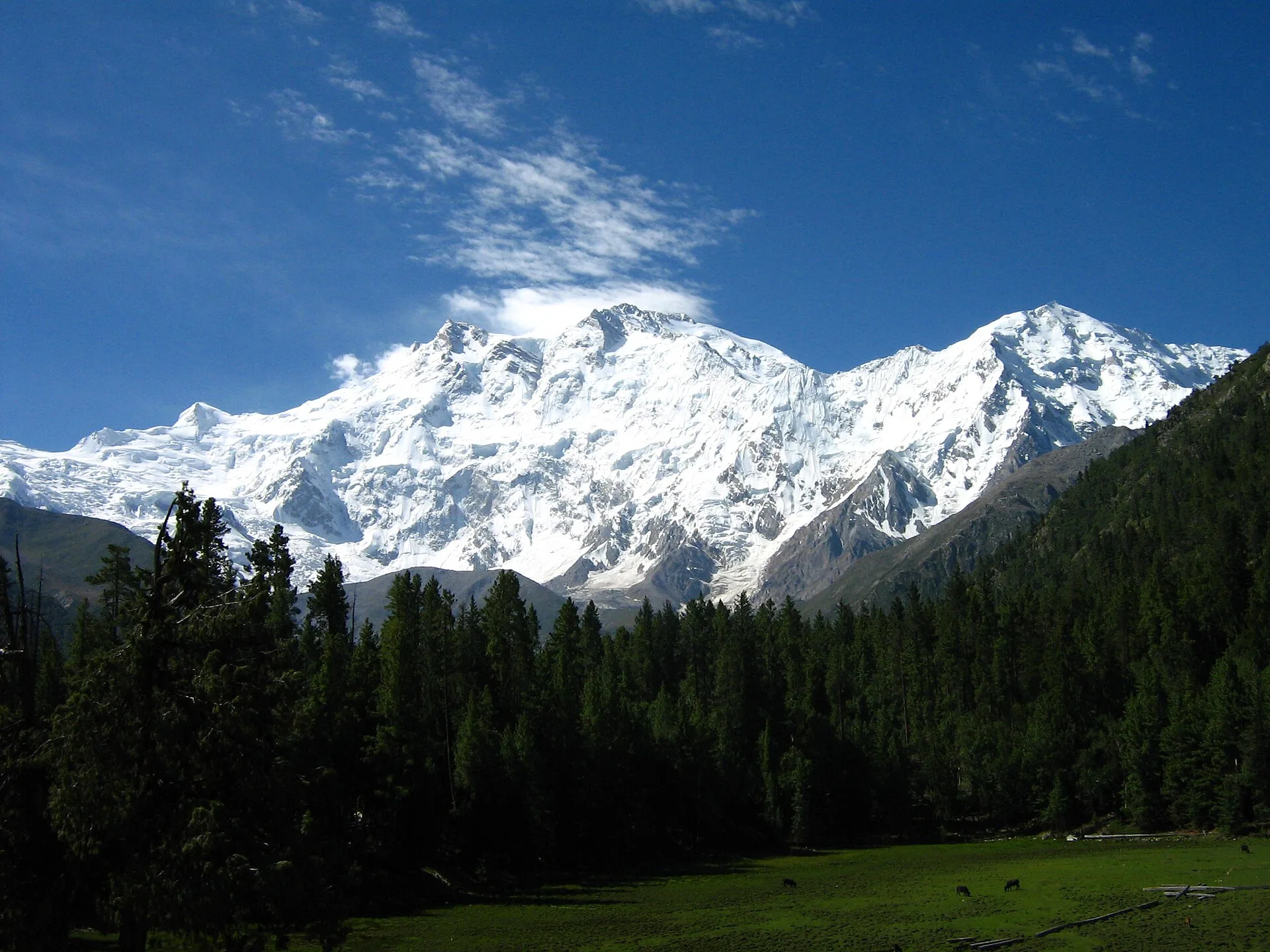 The snow-covered massif of Nanga Parbat seen from Fairy Meadows