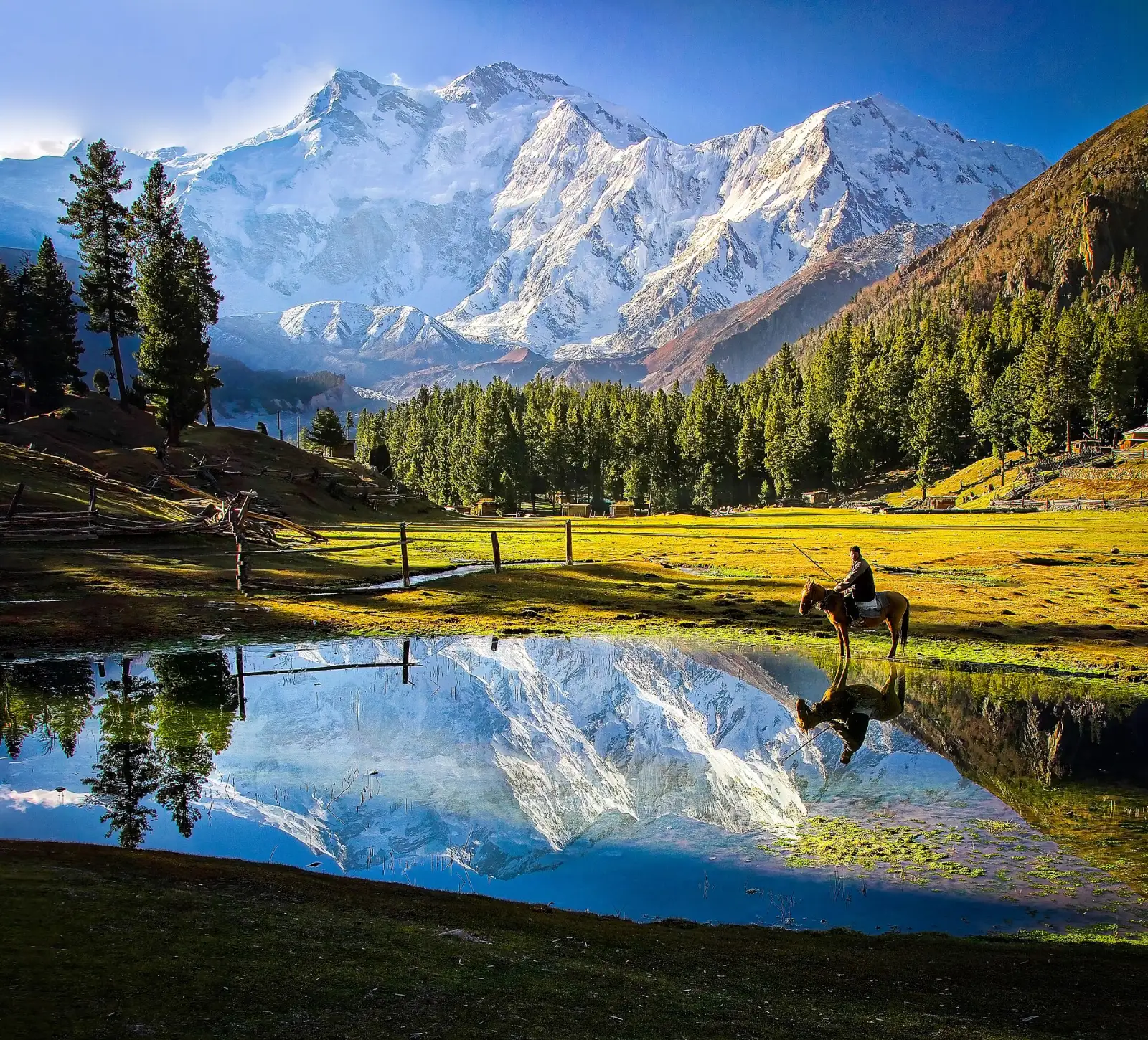 Nanga Parbat reflected in a still pond at Fairy Meadows, Gilgit-Baltistan