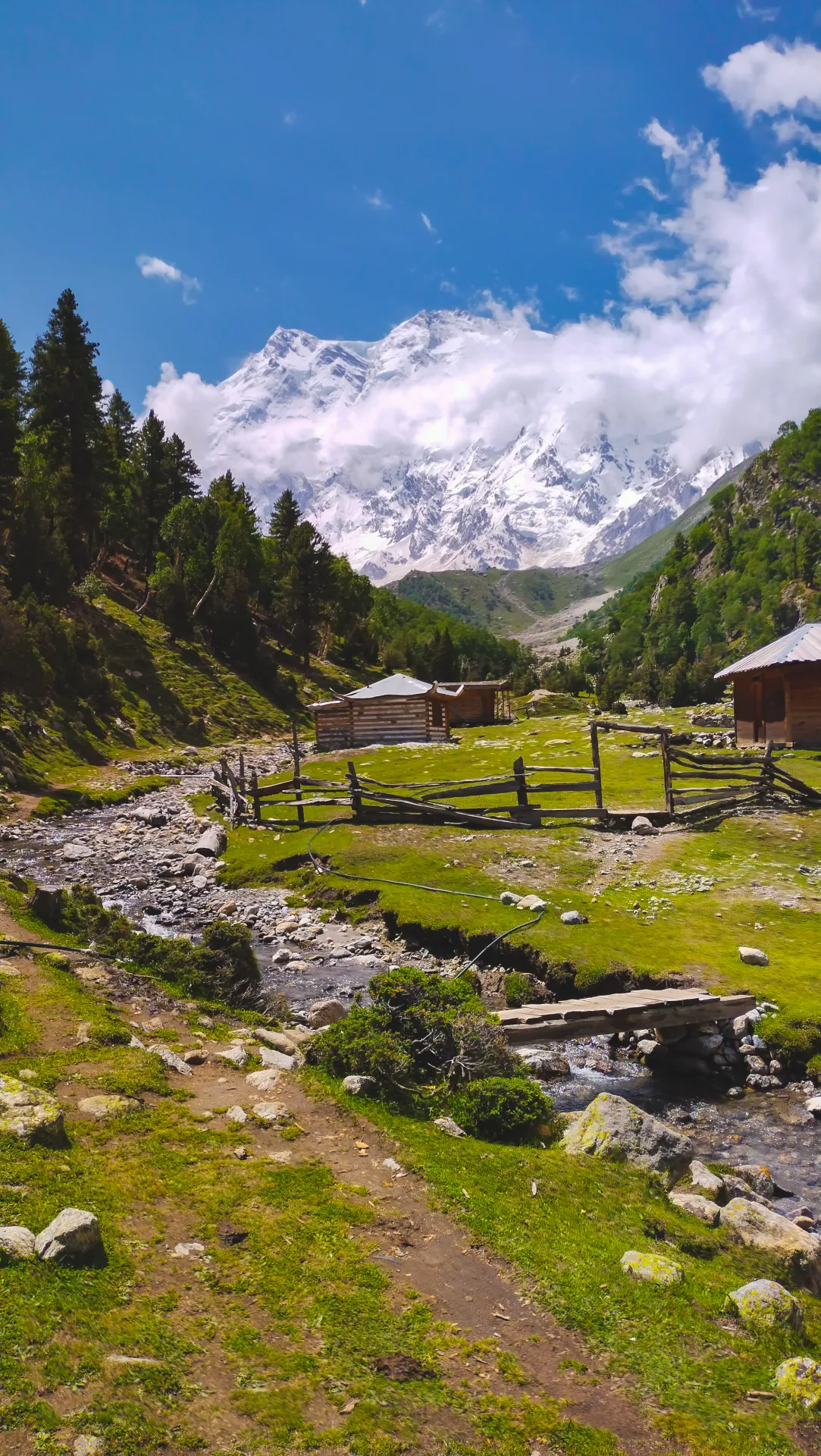 A glacial stream and log bridge beside the wooden huts of Fairy Meadows below Nanga Parbat