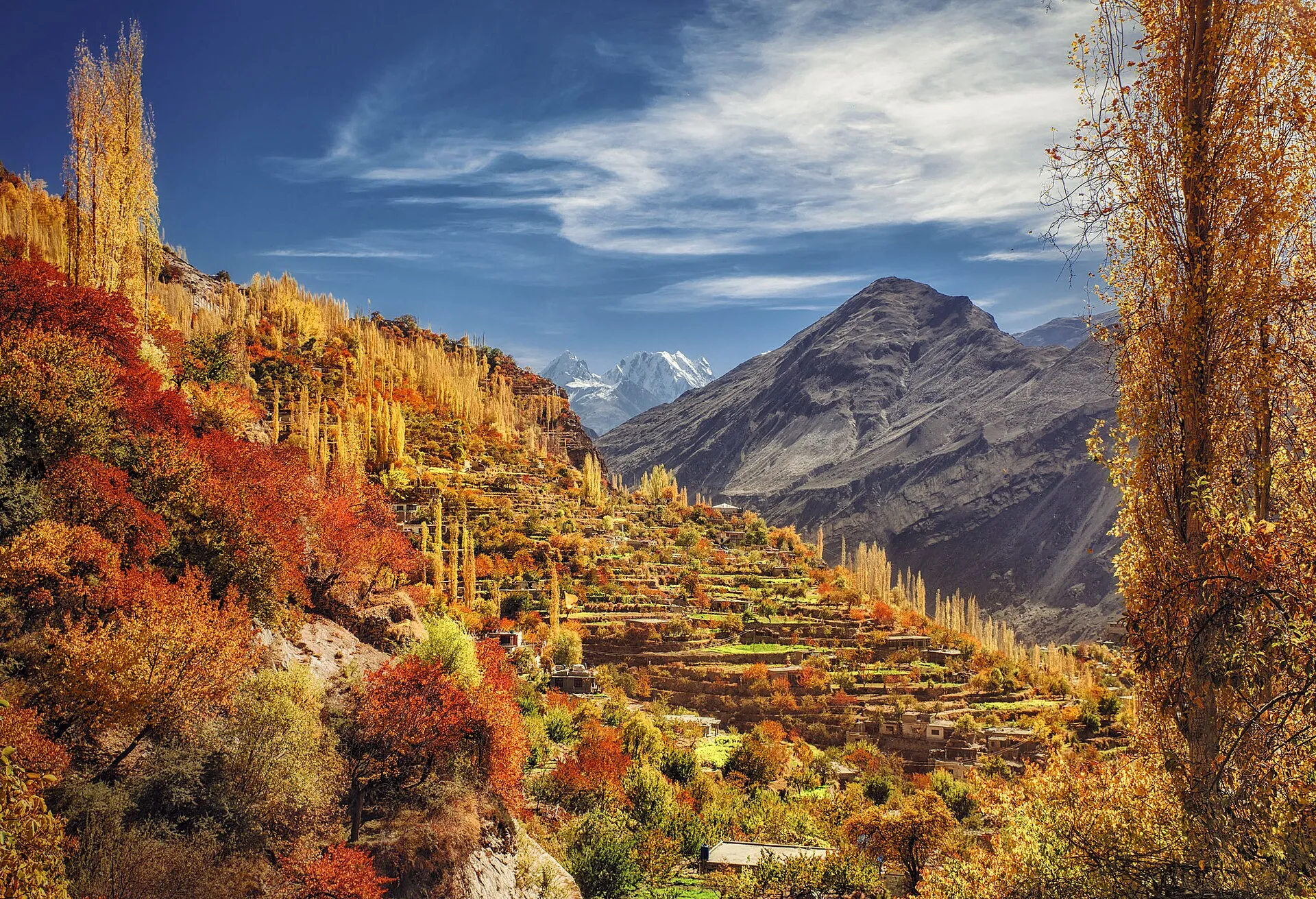 Autumn colour across the terraced fields of Altit, Hunza Valley