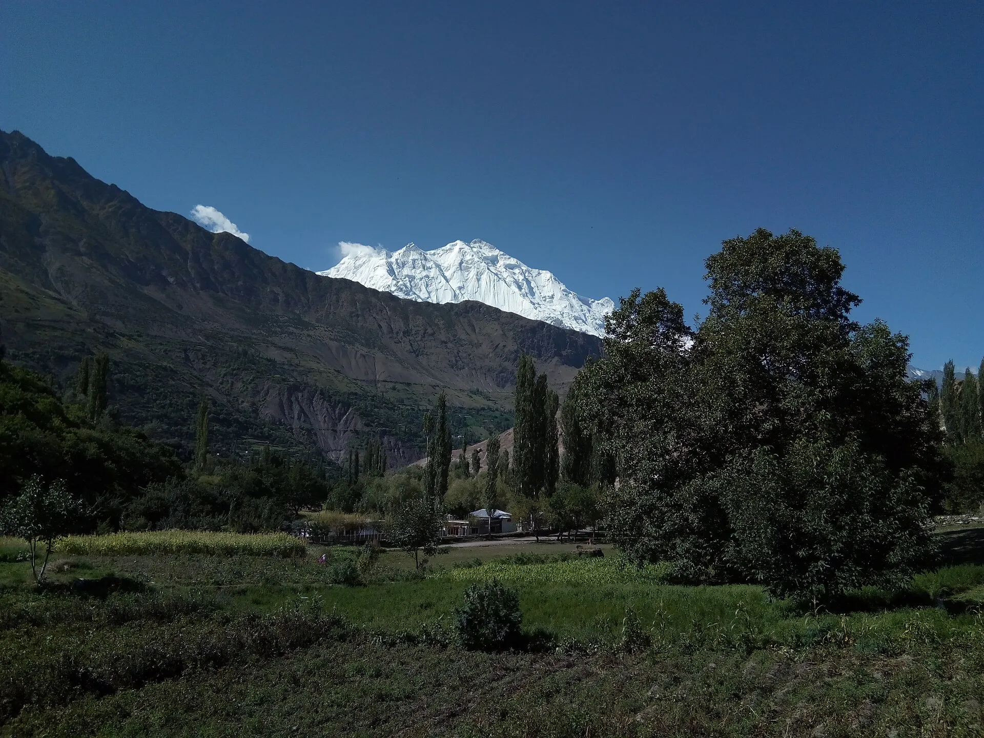 Snow-capped Rakaposhi rising beyond the green fields opposite Hunza