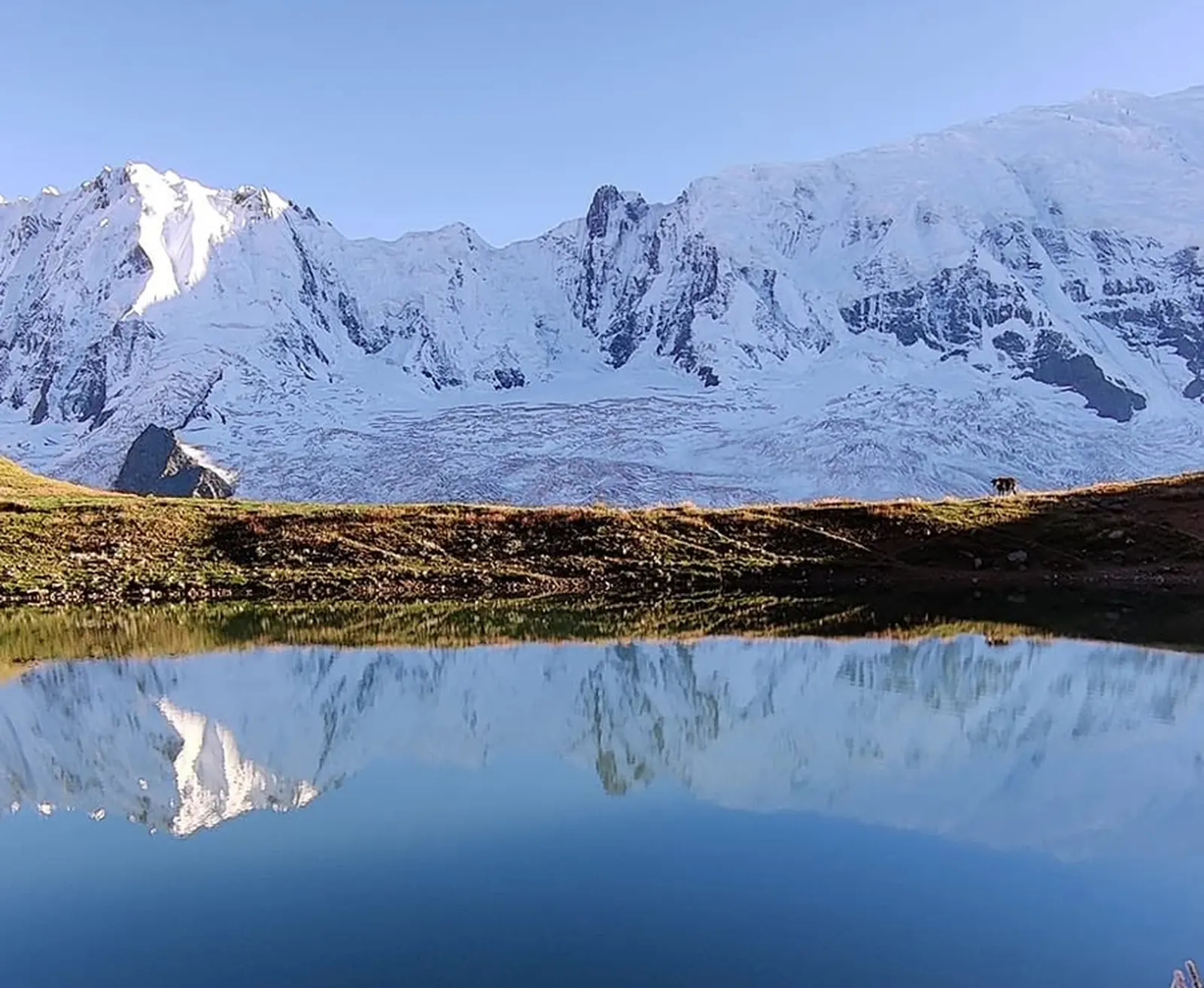 Kacheli Lake at 3,970 m mirroring the snow face above it at first light, Nagar Valley, Gilgit-Baltistan