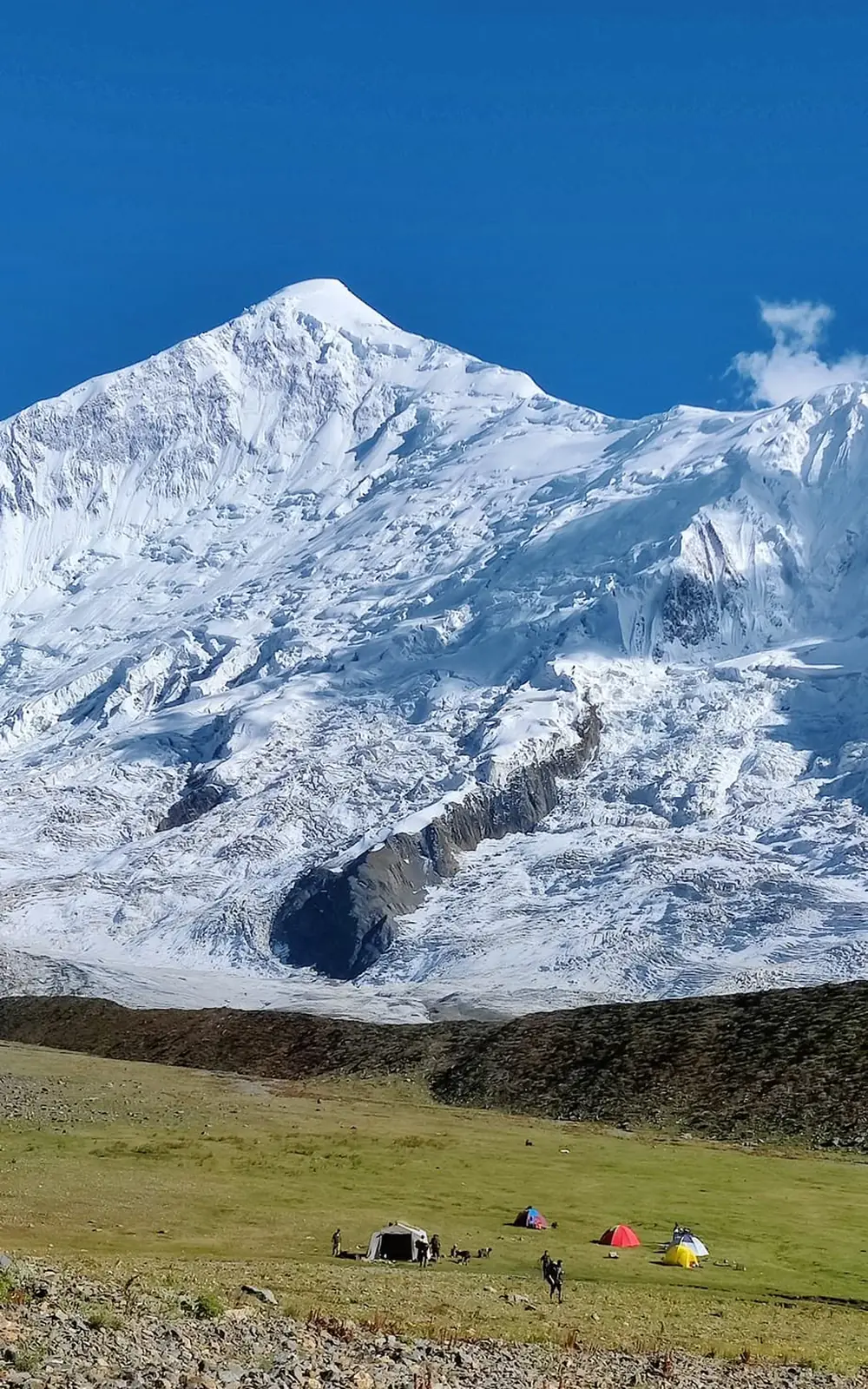Tents pitched on the base camp meadow at Tagaphari below the snow face, Nagar
