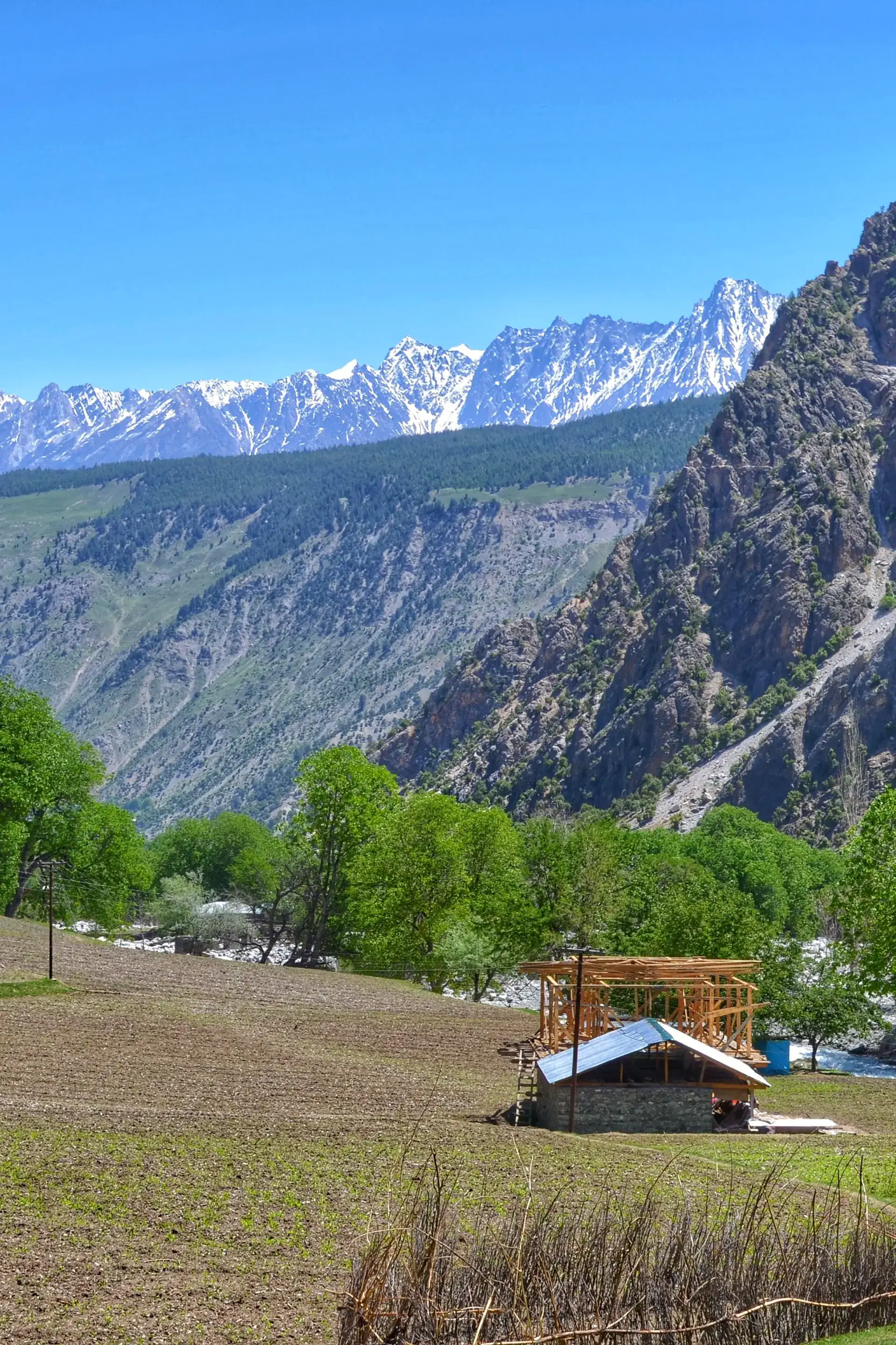 Green terraced fields and orchards along the river in the Rumbur valley