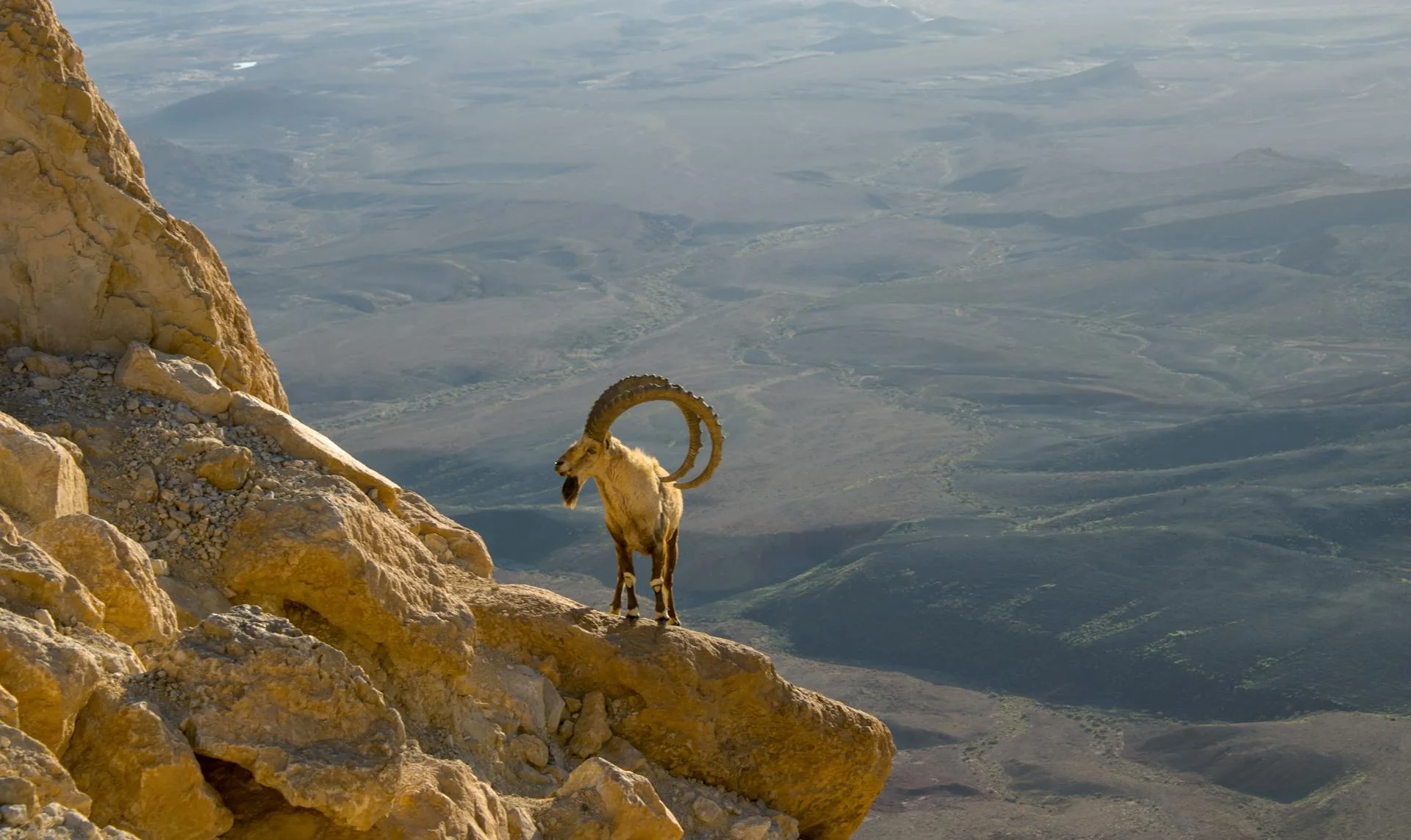 Ibex rock formation