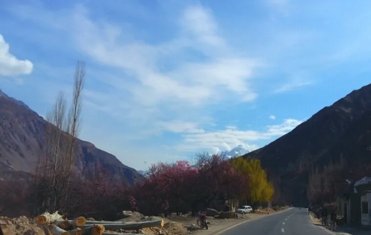 The Karakoram Highway through autumn trees in the Hunza Valley