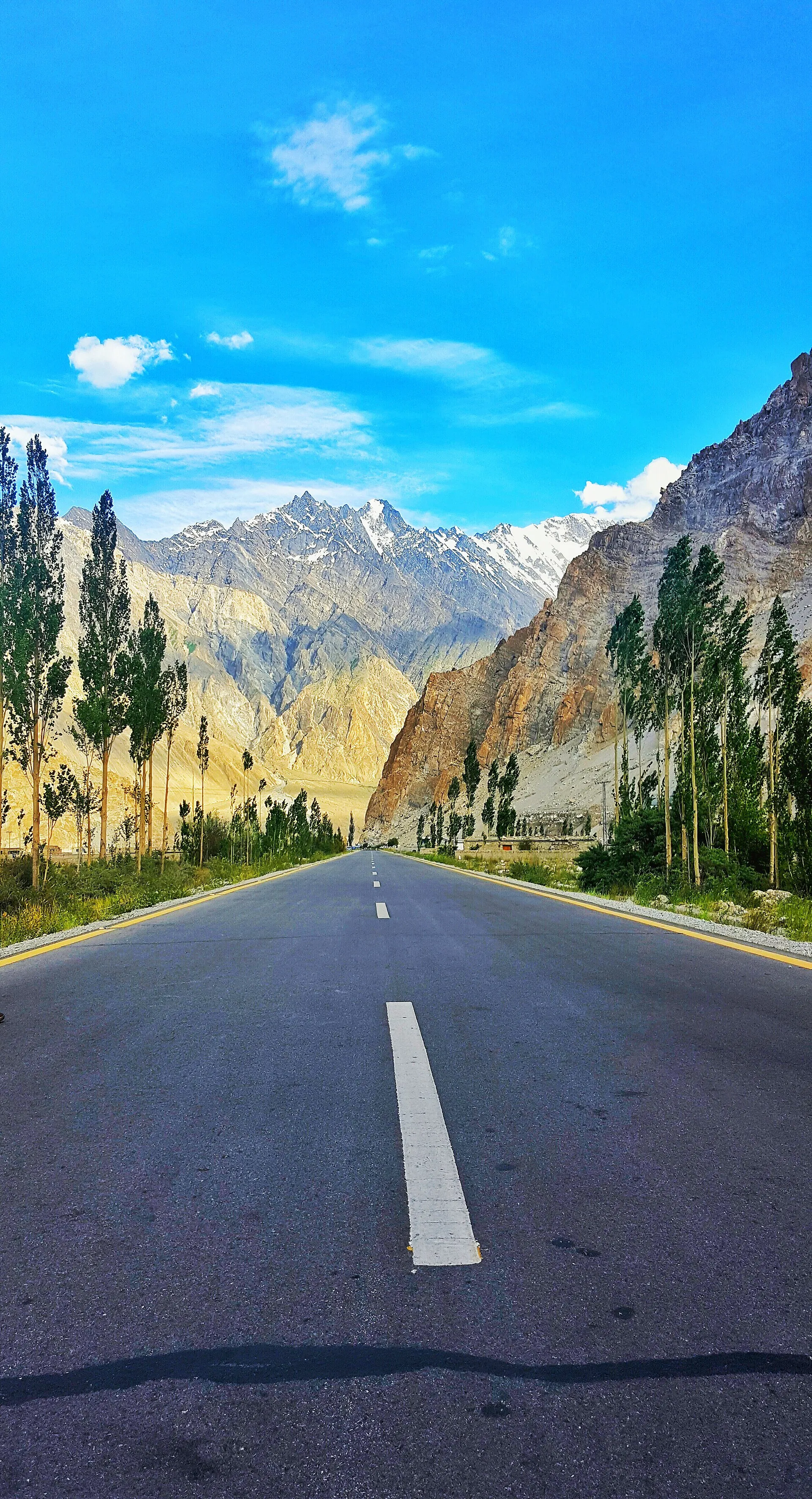The Karakoram Highway lined with poplars below the peaks
